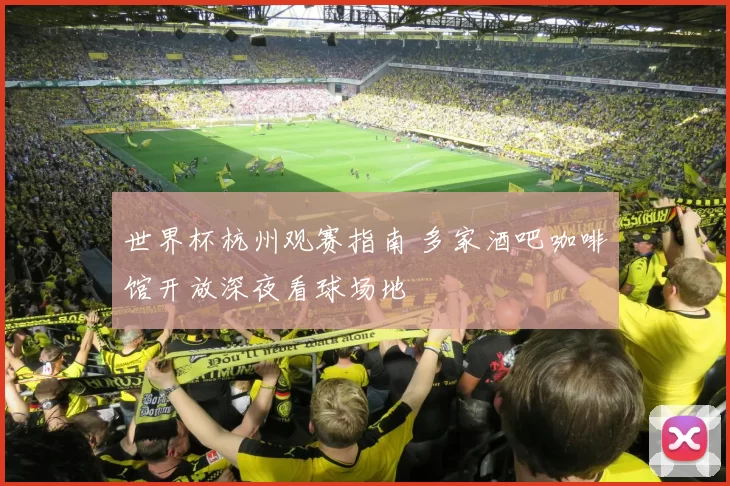 世界杯杭州观赛指南 多家酒吧咖啡馆开放深夜看球场地