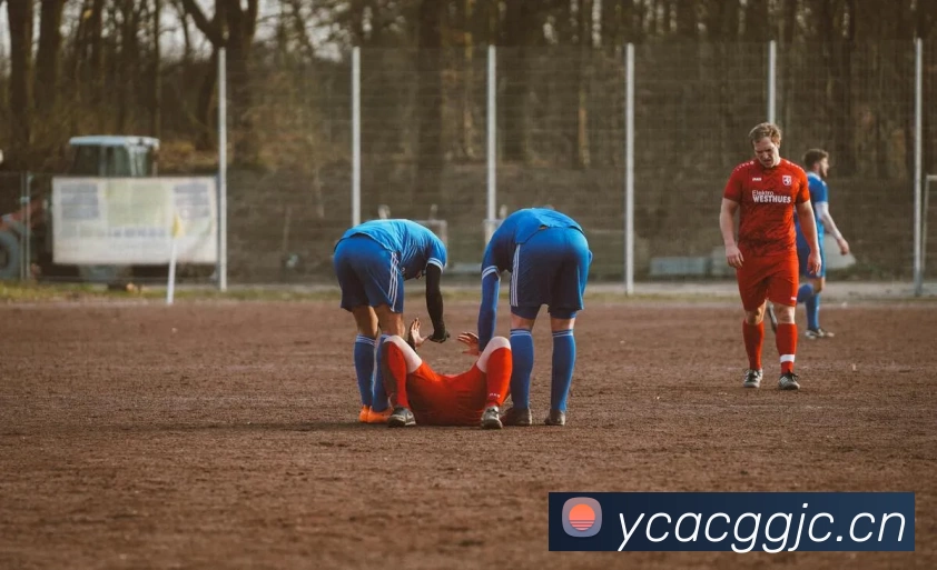 尊龙凯时人生就是搏·(中国区)官方网站发展历程